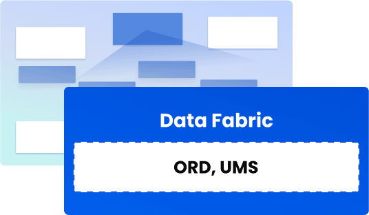 data fabric